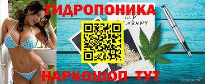 2c-b Сланцы
