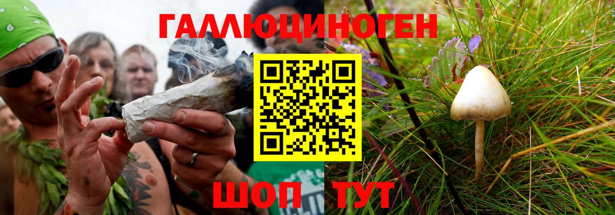 Череповец  Псилоцибиновые грибы ЛСД  Вход с VPN  Псилоцибиновые грибы Cubensis 